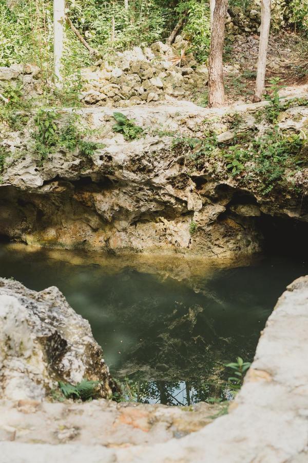 فندق Casa Costal - Glamping Experience بويرتو موريلوس الغرفة الصورة